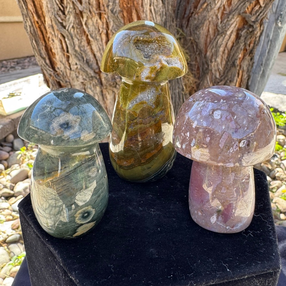 Polished Gemstone Mushroom Sculptures - Trio - Picture 2 of 5